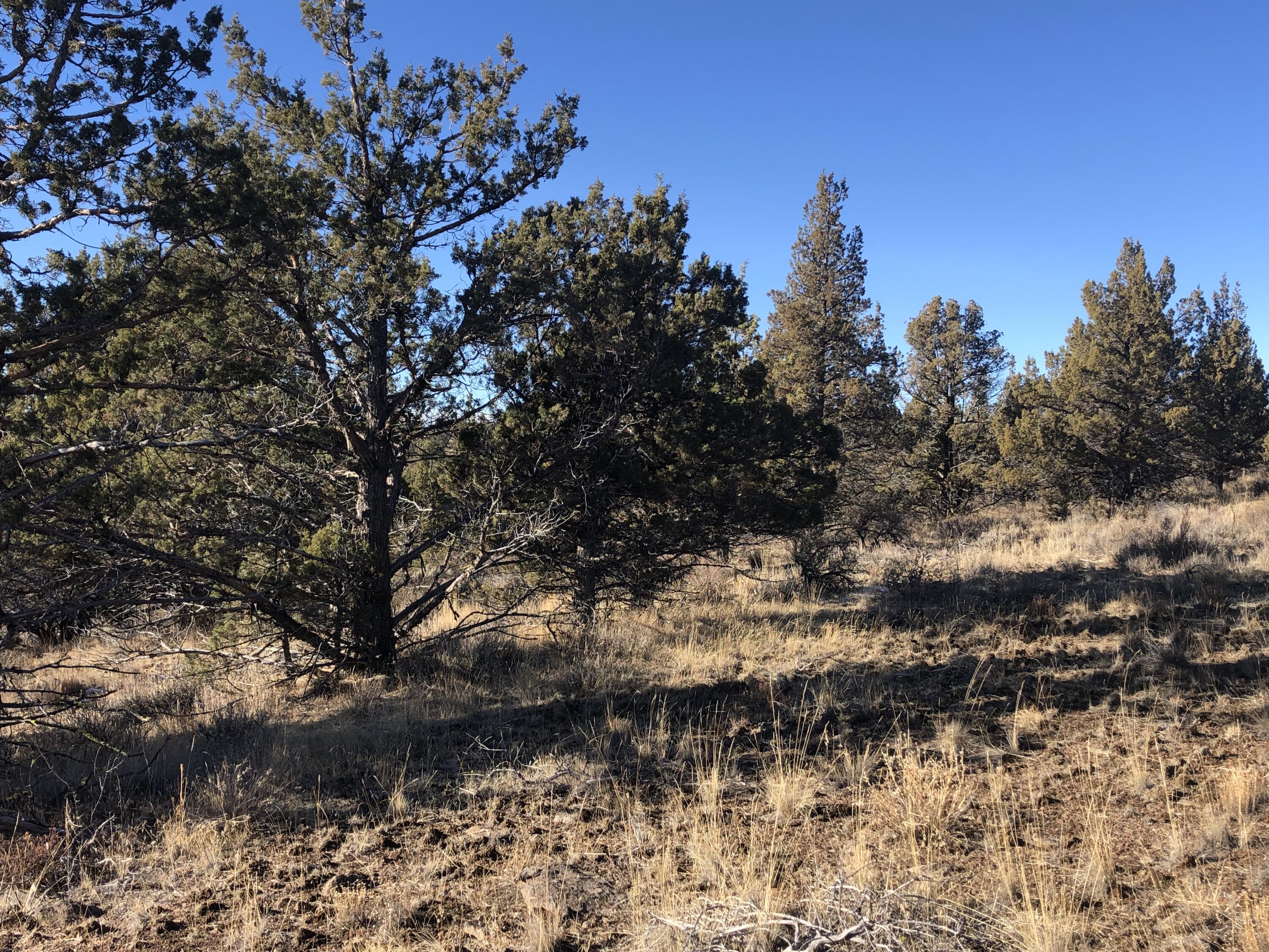 Ochoco Land + Livest - Land