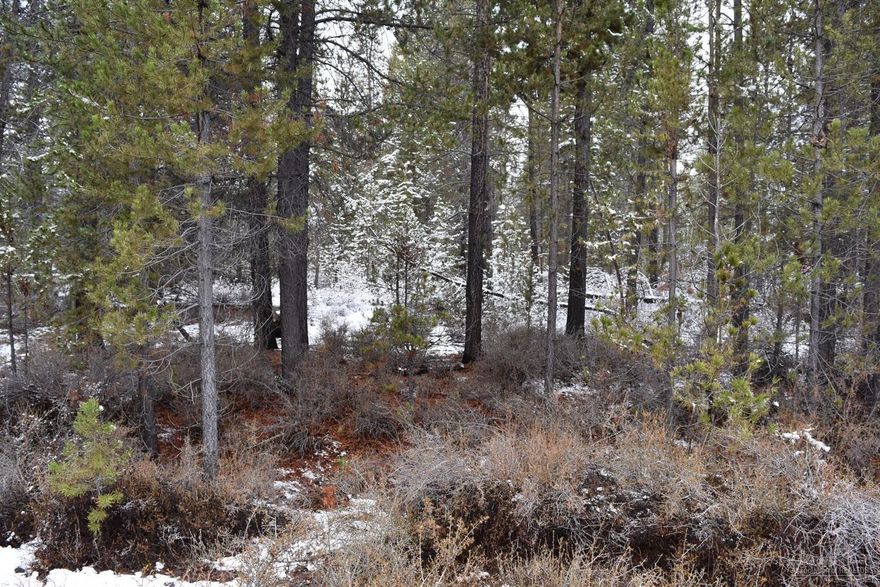 Vacant lot ready for you to make it yours! Nestled in the mature pines, yet on a well maintained street, you'll have plenty of space to build your dream home & shop. Lot is flat, well treed and very private. Area of standard septic systems & Midstate power at the street. Close to La Pine State Park, the Deschutes River, Mt Bachelor & more - adventures await!