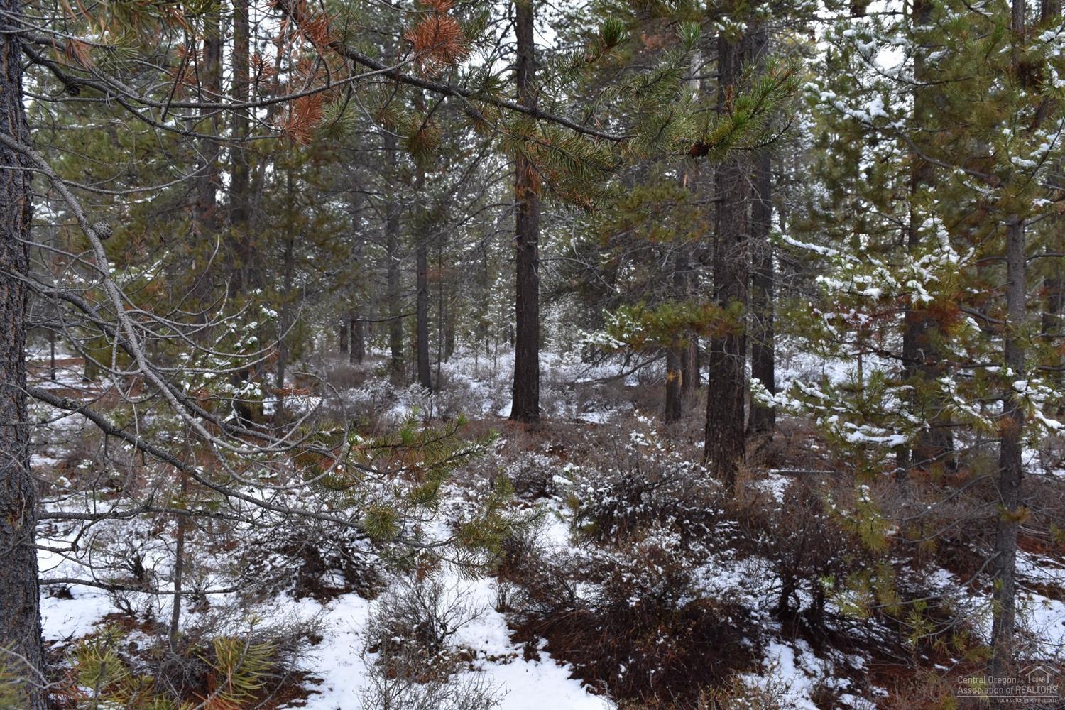 Meadow Crest Acres - Land