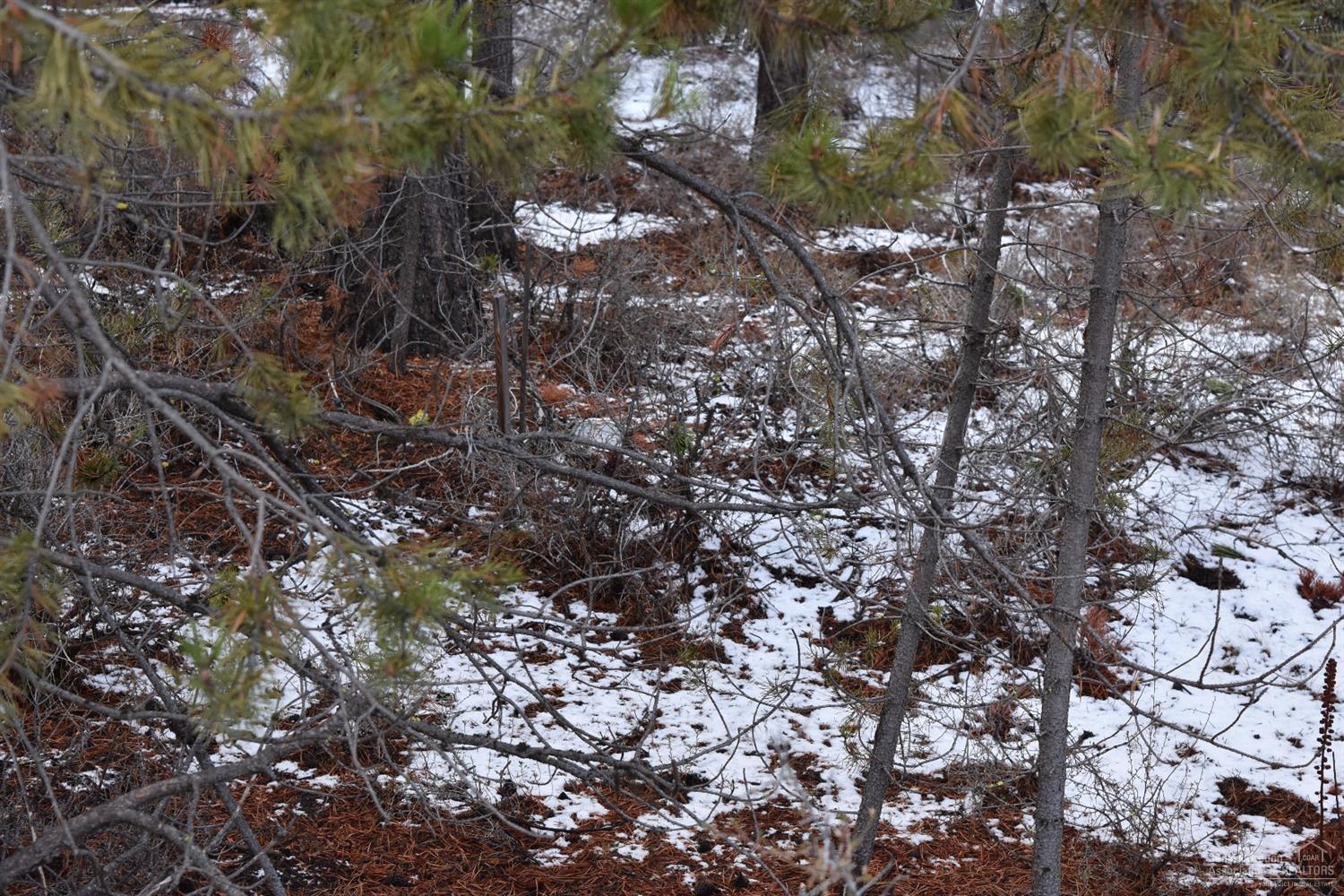 Meadow Crest Acres - Land