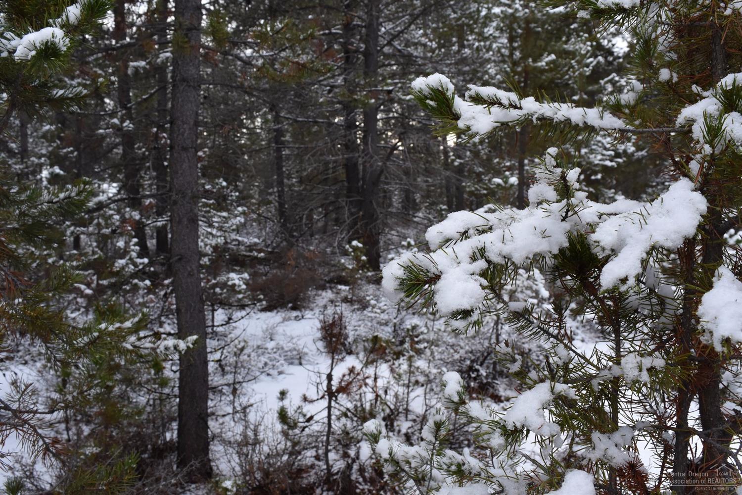 Meadow Crest Acres - Land