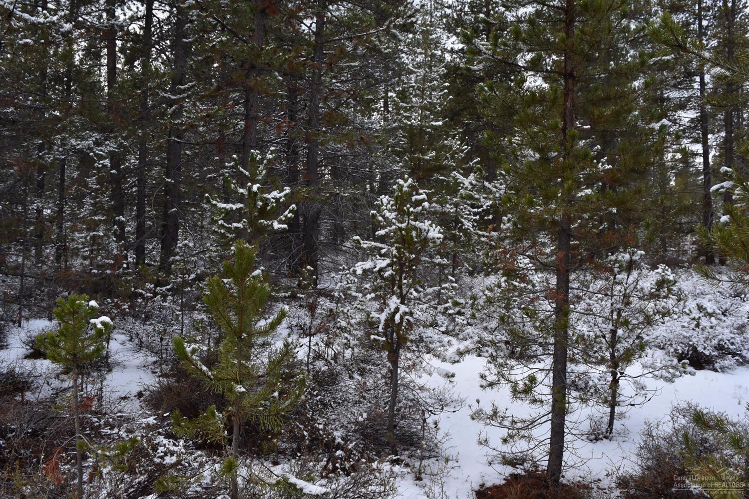 Meadow Crest Acres - Land