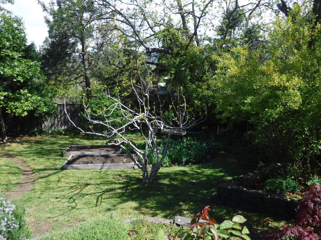 Coolidges Tract - Residential