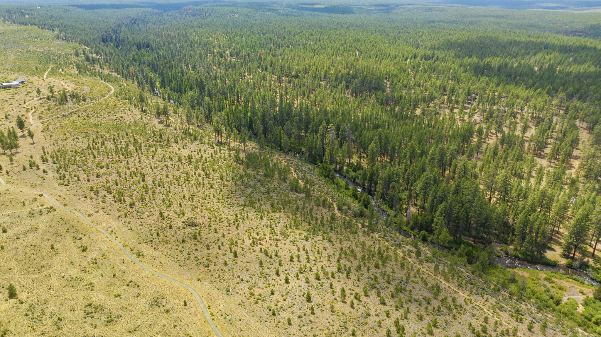 Shevlin Commons - Residential