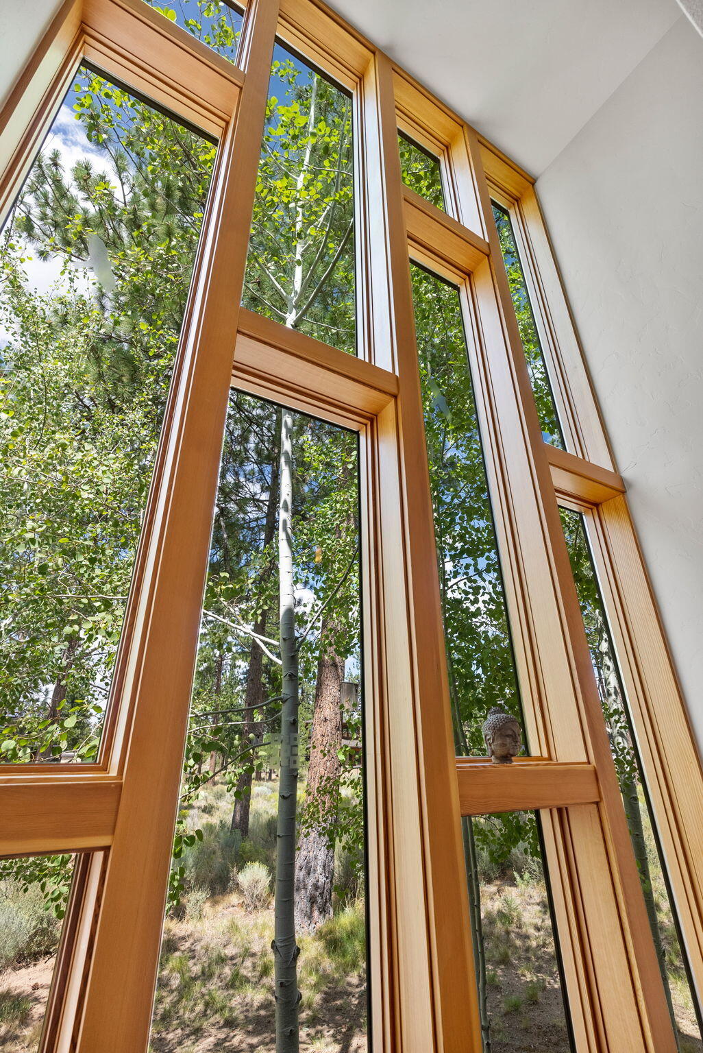 Shevlin Commons - Residential