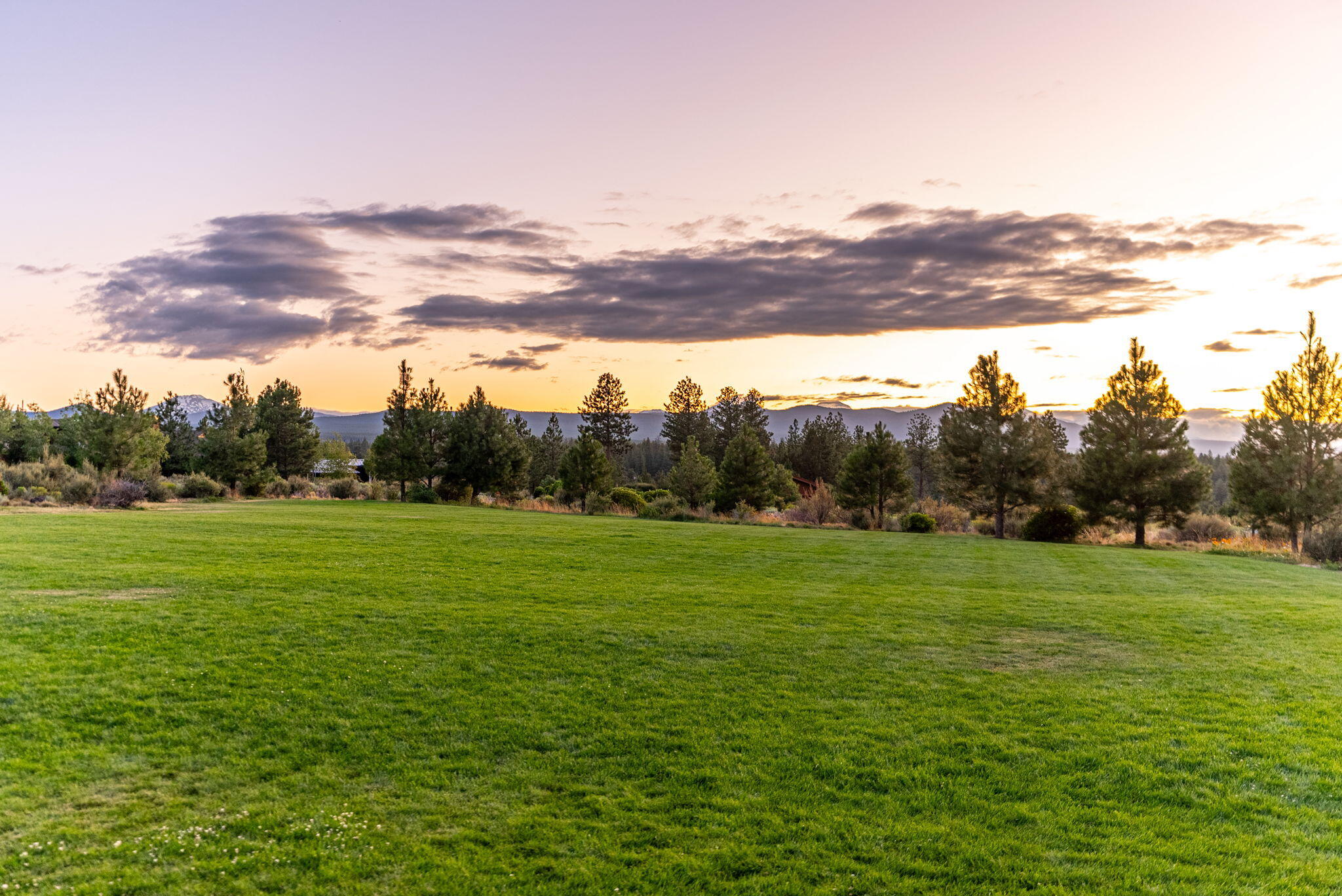 Shevlin Commons - Residential