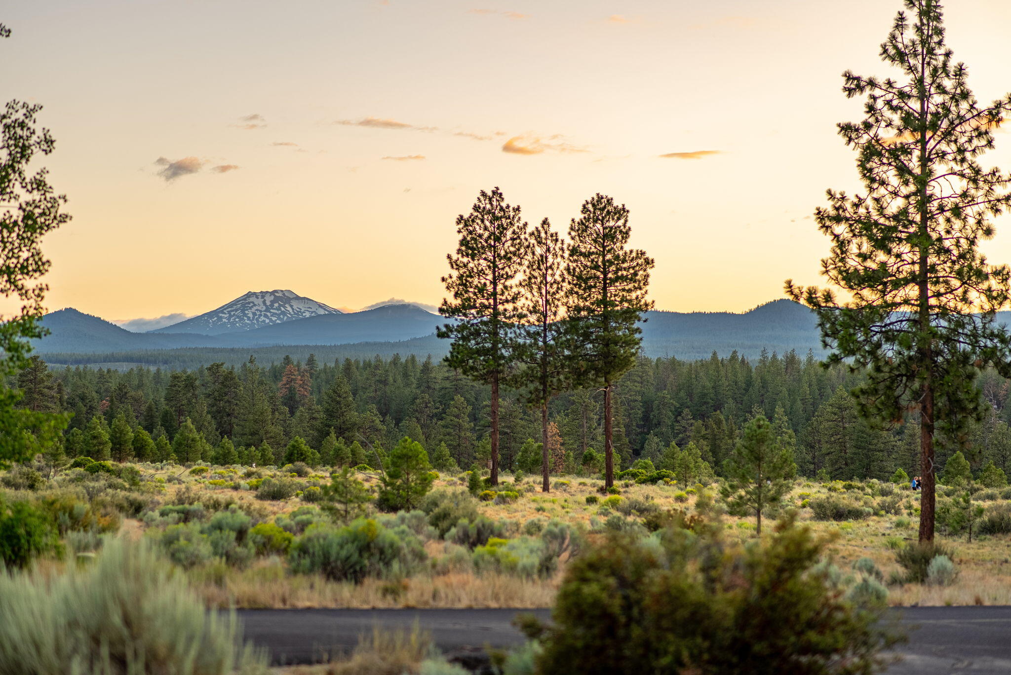 Shevlin Commons - Residential