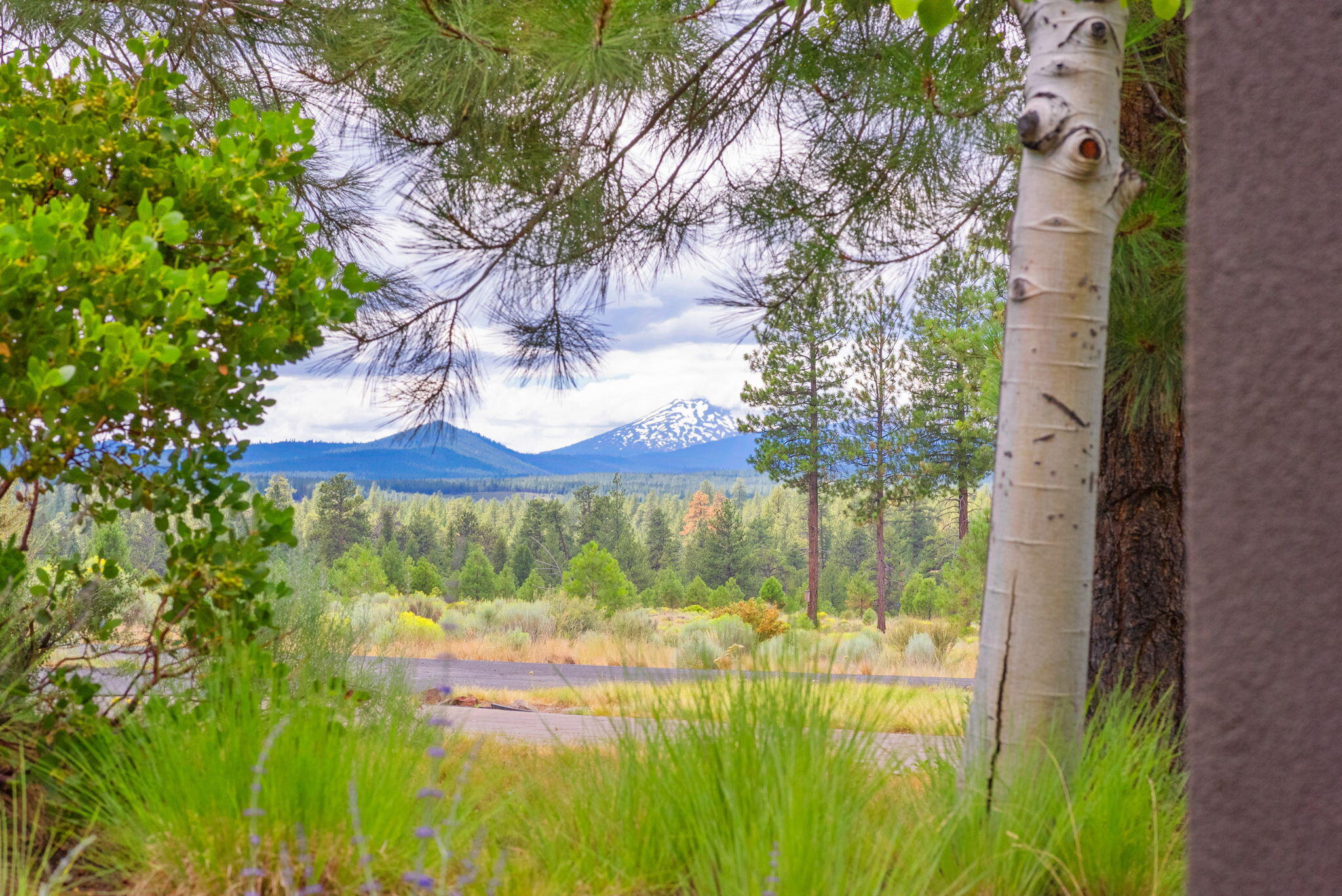 Shevlin Commons - Residential