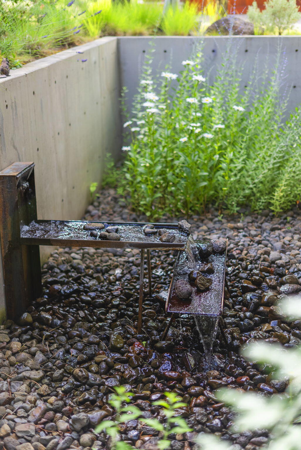 Shevlin Commons - Residential