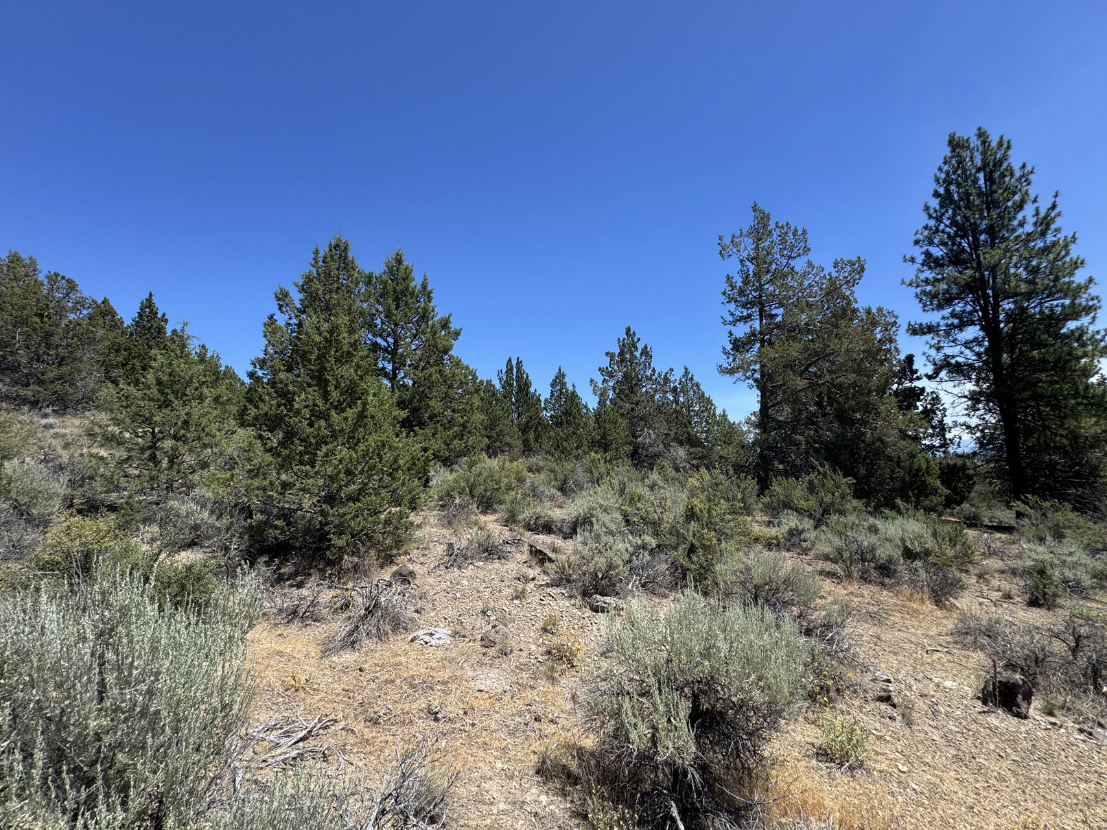 Nimrod River Park - Land