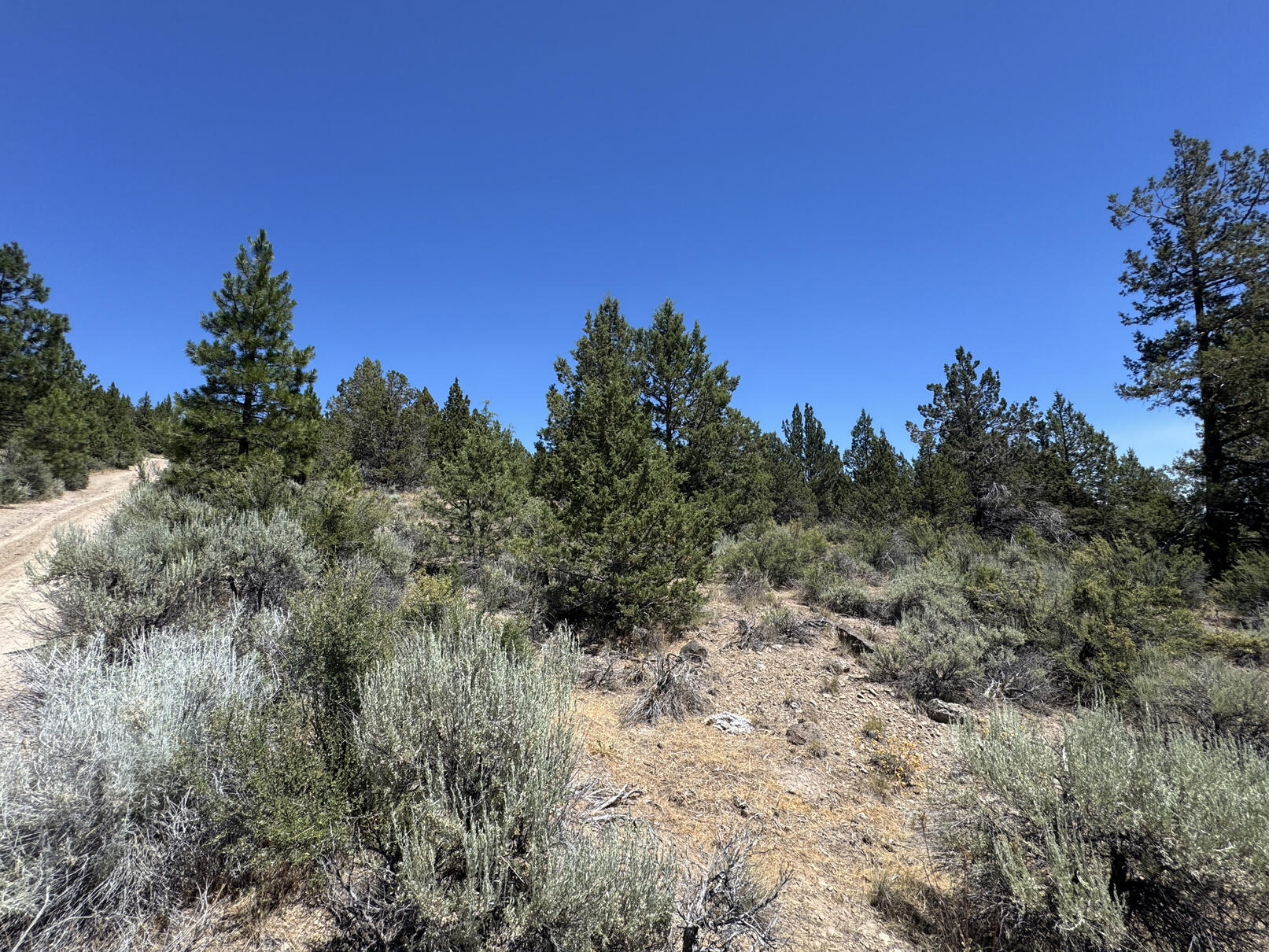 Nimrod River Park - Land