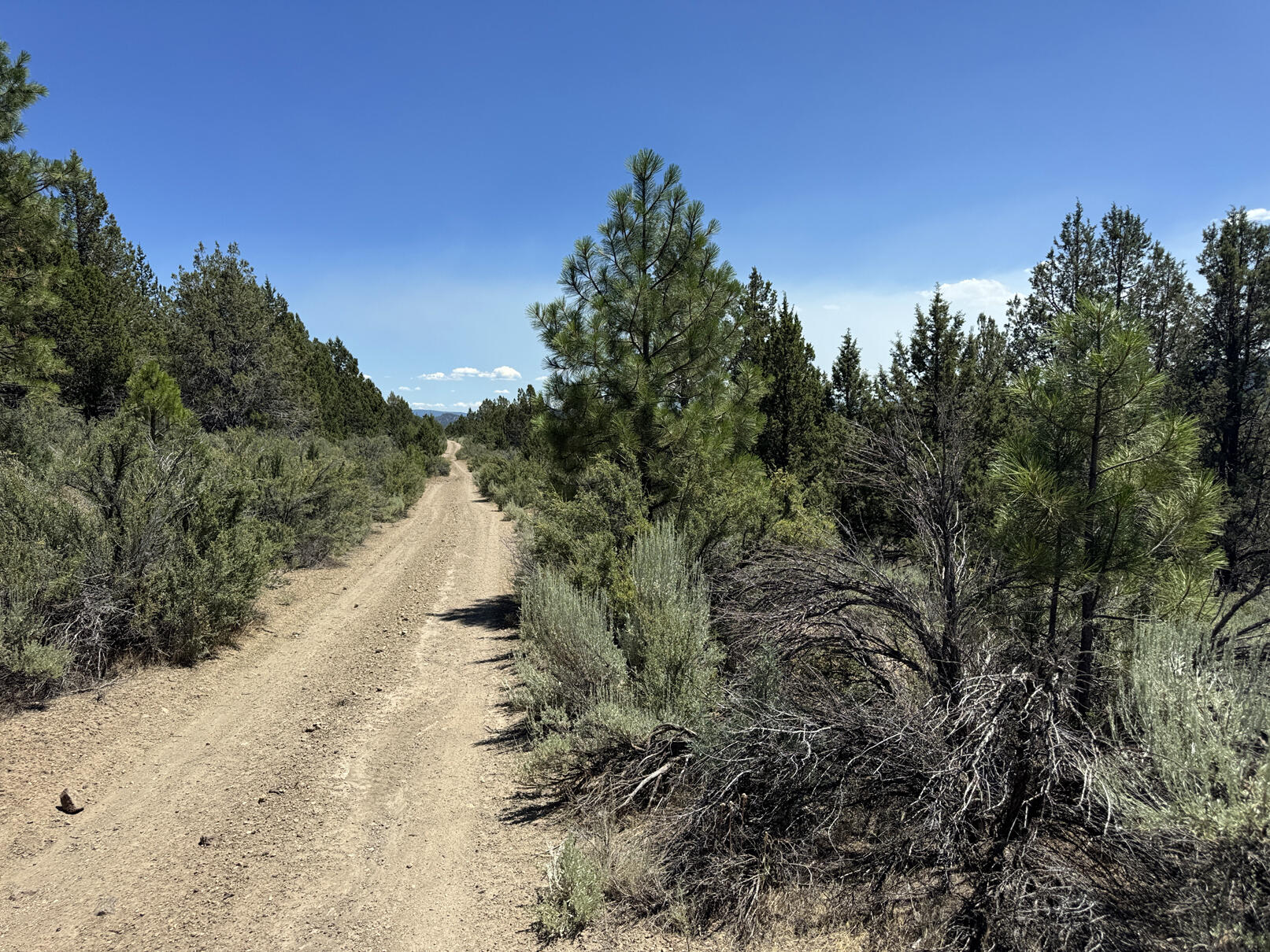 Nimrod River Park - Land