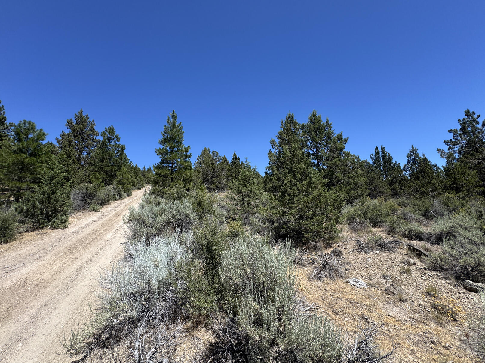 Nimrod River Park - Land