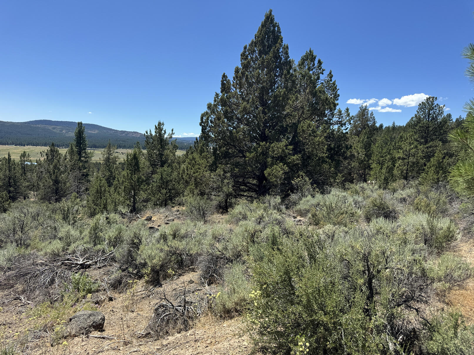 Nimrod River Park - Land