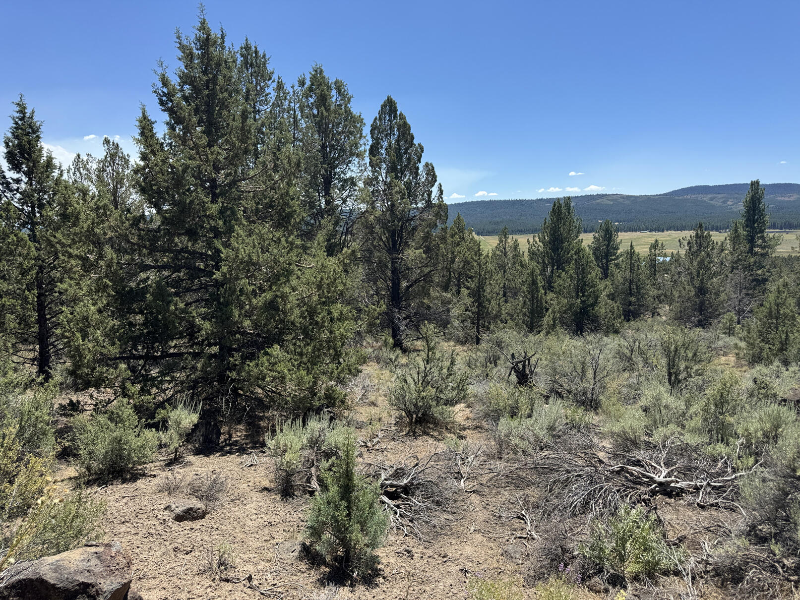 Nimrod River Park - Land