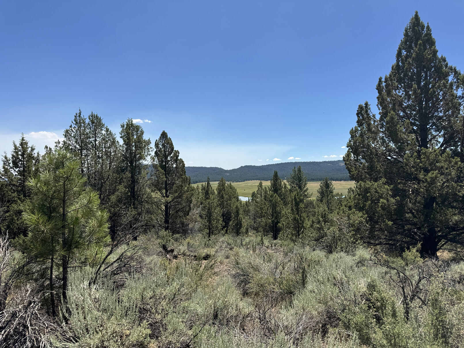 Nimrod River Park - Land