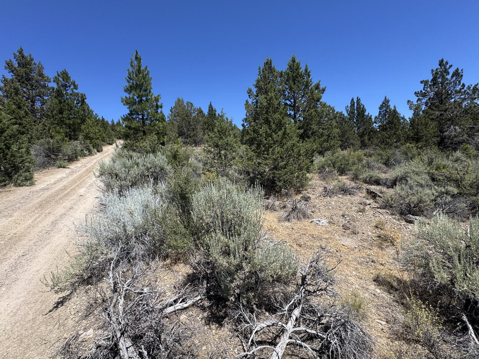 Nimrod River Park - Land