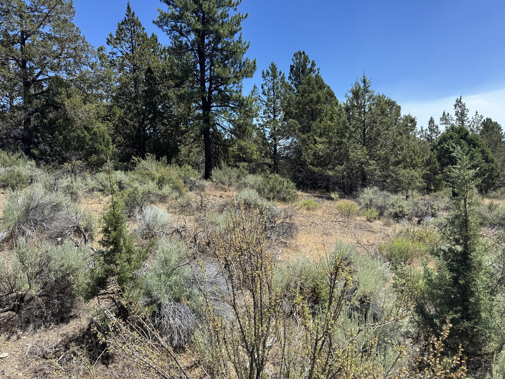 Nimrod River Park - Land