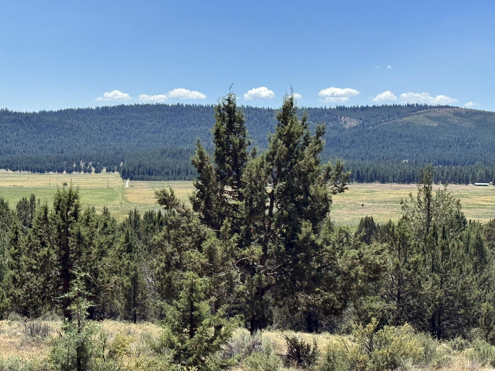 Nimrod River Park - Land