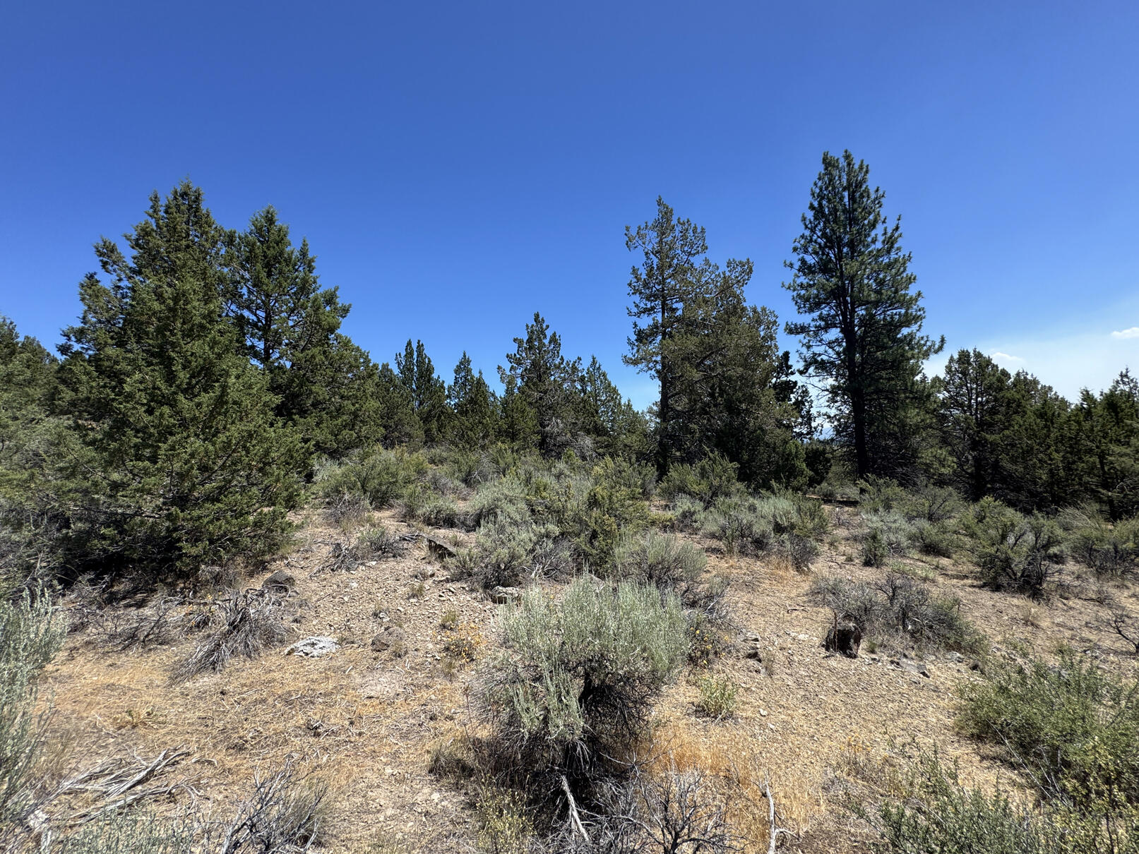 Nimrod River Park - Land