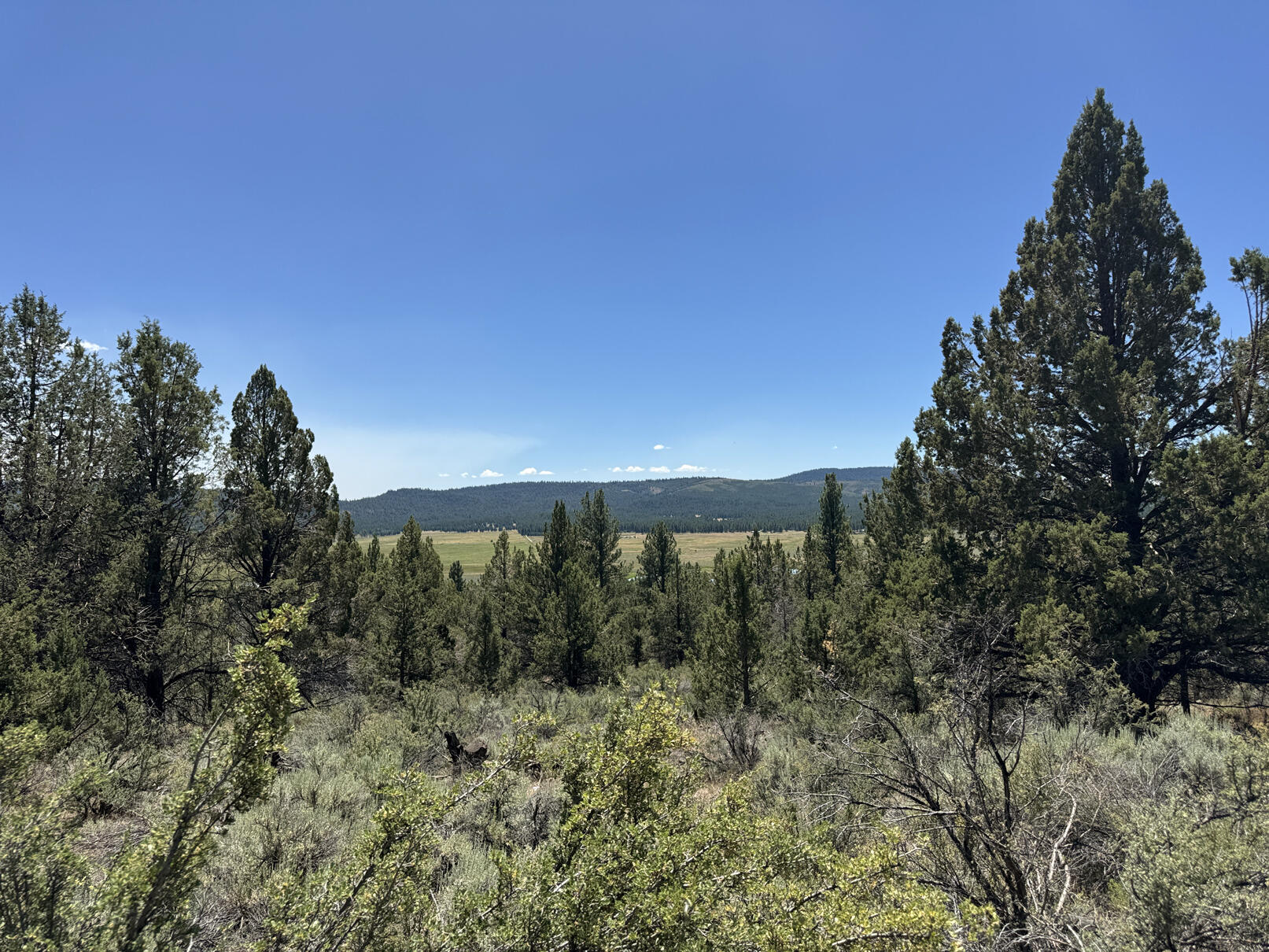 Nimrod River Park - Land