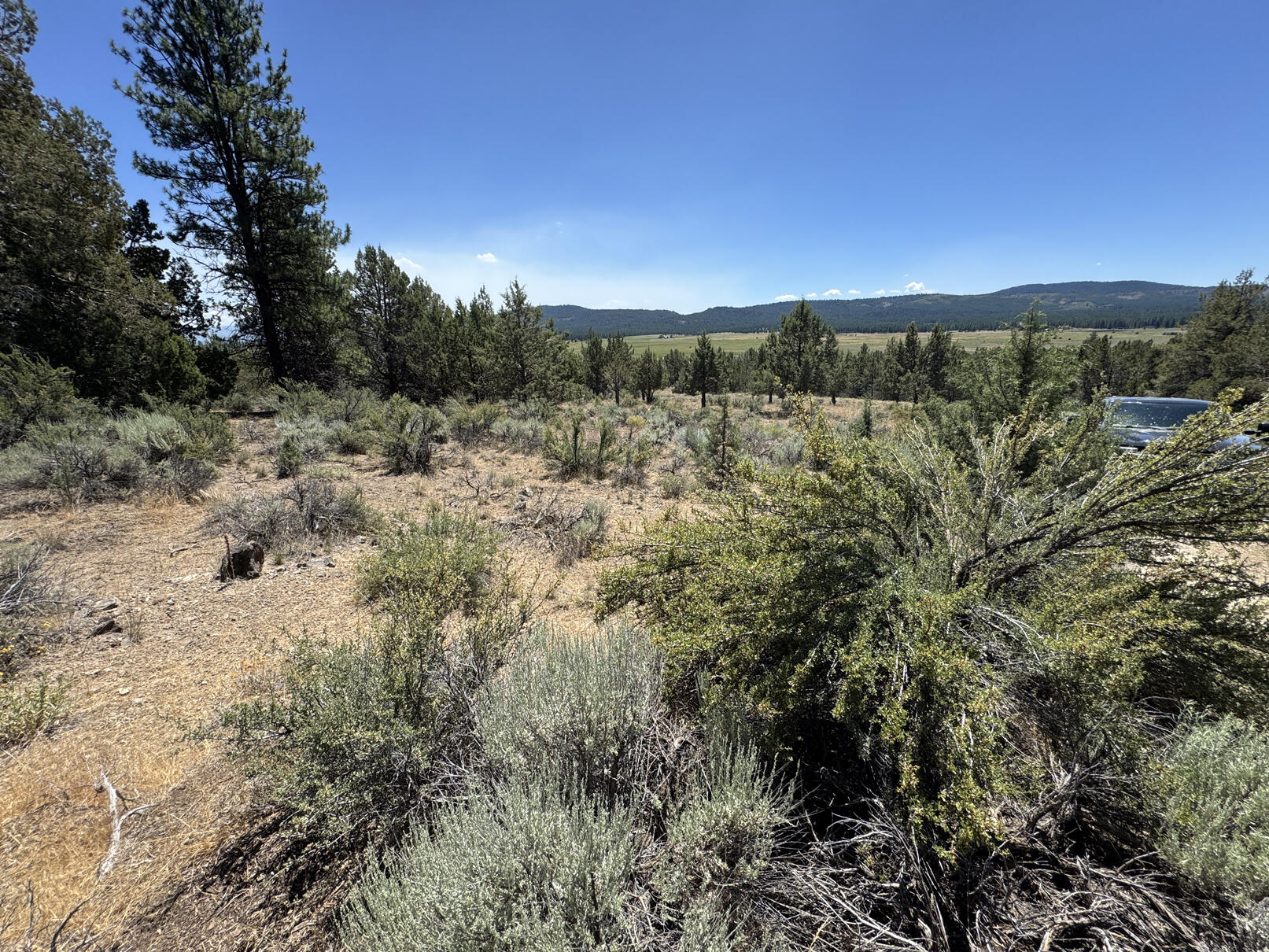 Nimrod River Park - Land