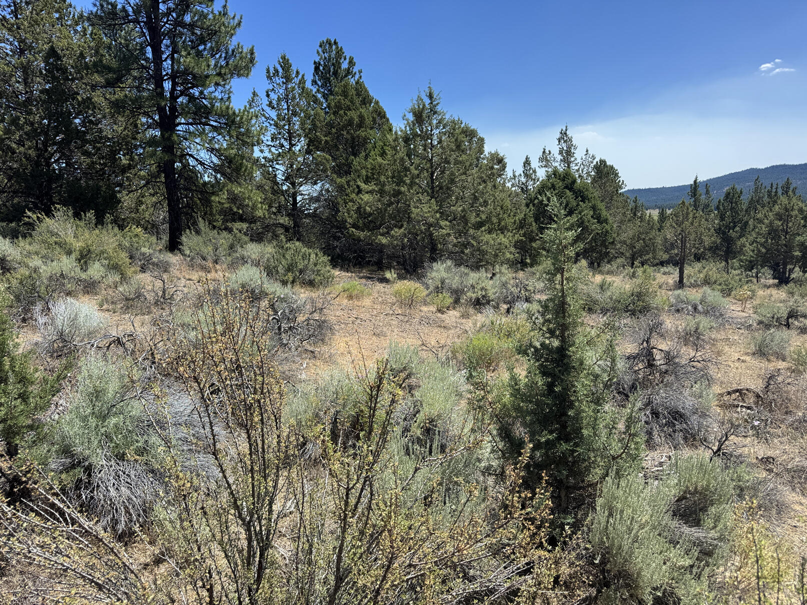 Nimrod River Park - Land