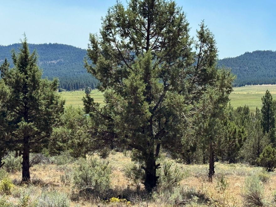 *****Sprague River and Sprague River Valley Views *****
1.72 Acres with Excellent road access from two roads. Lovely huge parcel with power and phone just a couple of parcels away. Great location to build or install a manufactured home on. Sit on your porch and watch the cattle a waterfowl in the valley. Numerous trees, gentle slope and light valley breezes make this a must have parcel. Priced to move quickly so please come check it out. Zoned R2 and farm animals are welcomed.