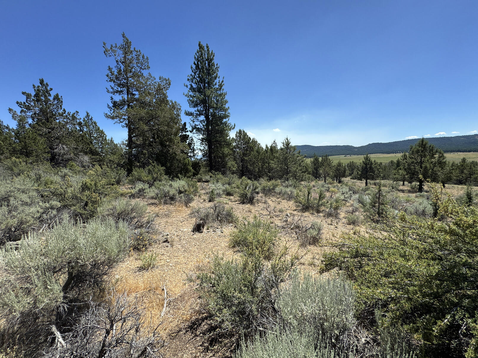 Nimrod River Park - Land