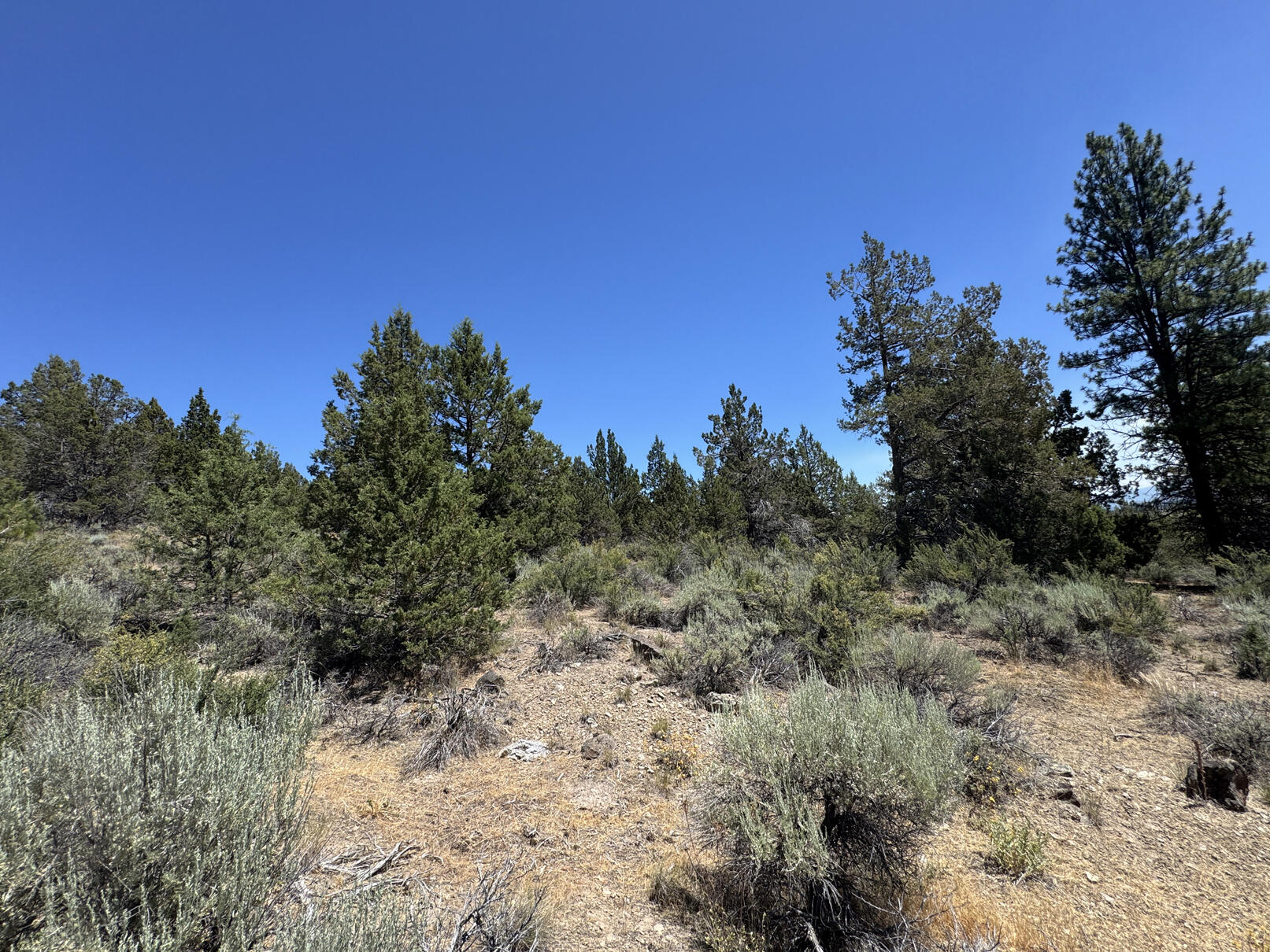 Nimrod River Park - Land