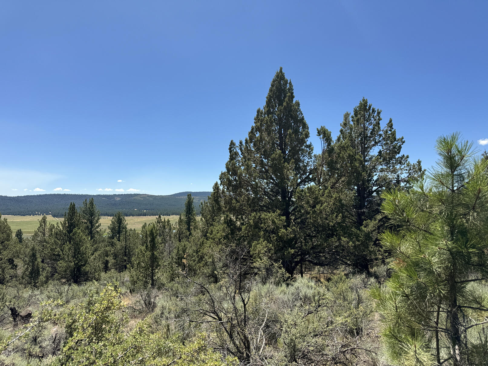 Nimrod River Park - Land