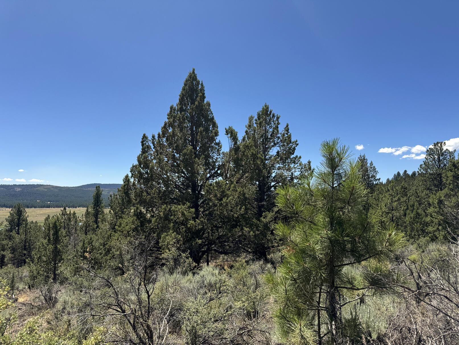 Nimrod River Park - Land