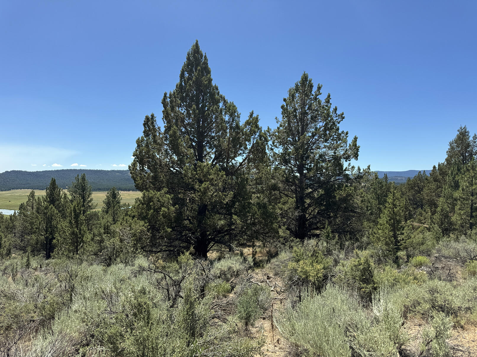 Nimrod River Park - Land