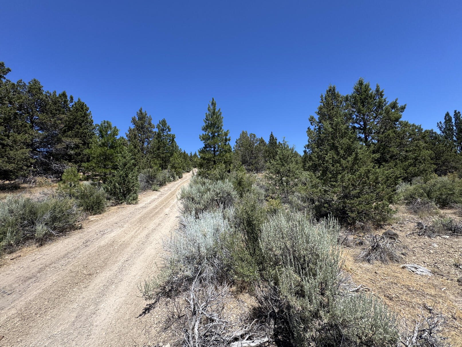 Nimrod River Park - Land