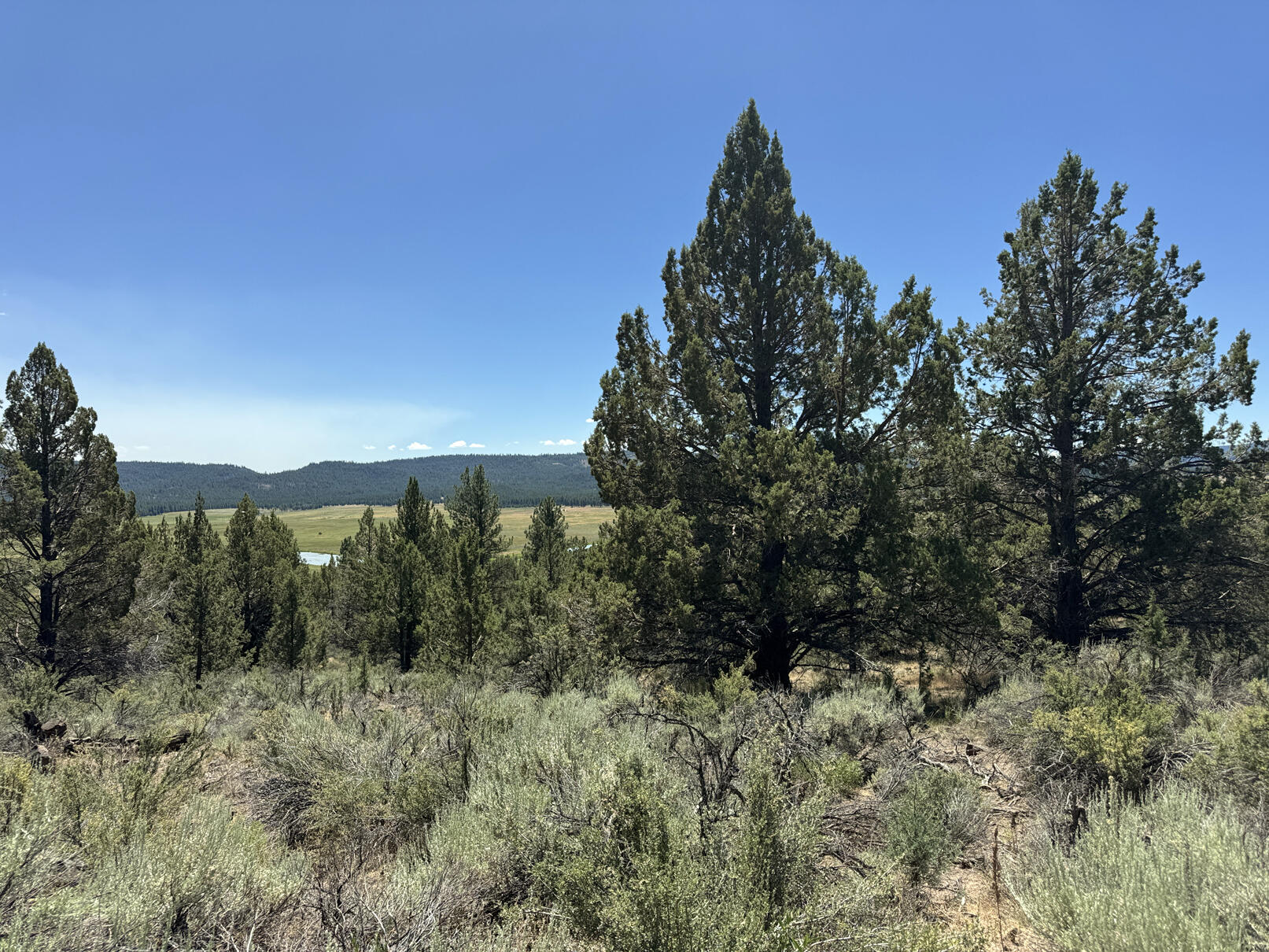 Nimrod River Park - Land