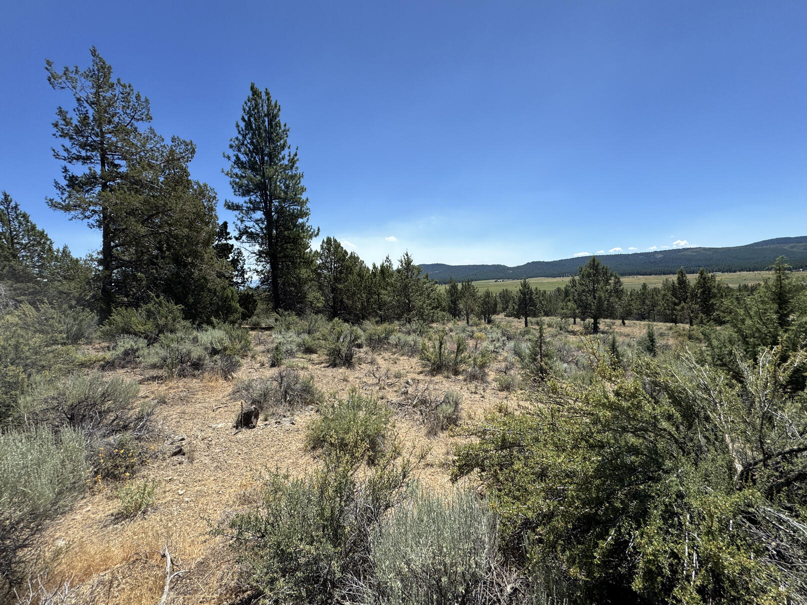 Nimrod River Park - Land