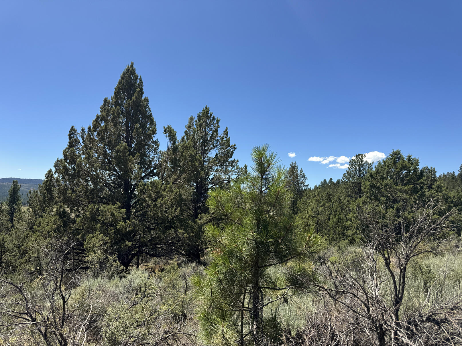 Nimrod River Park - Land