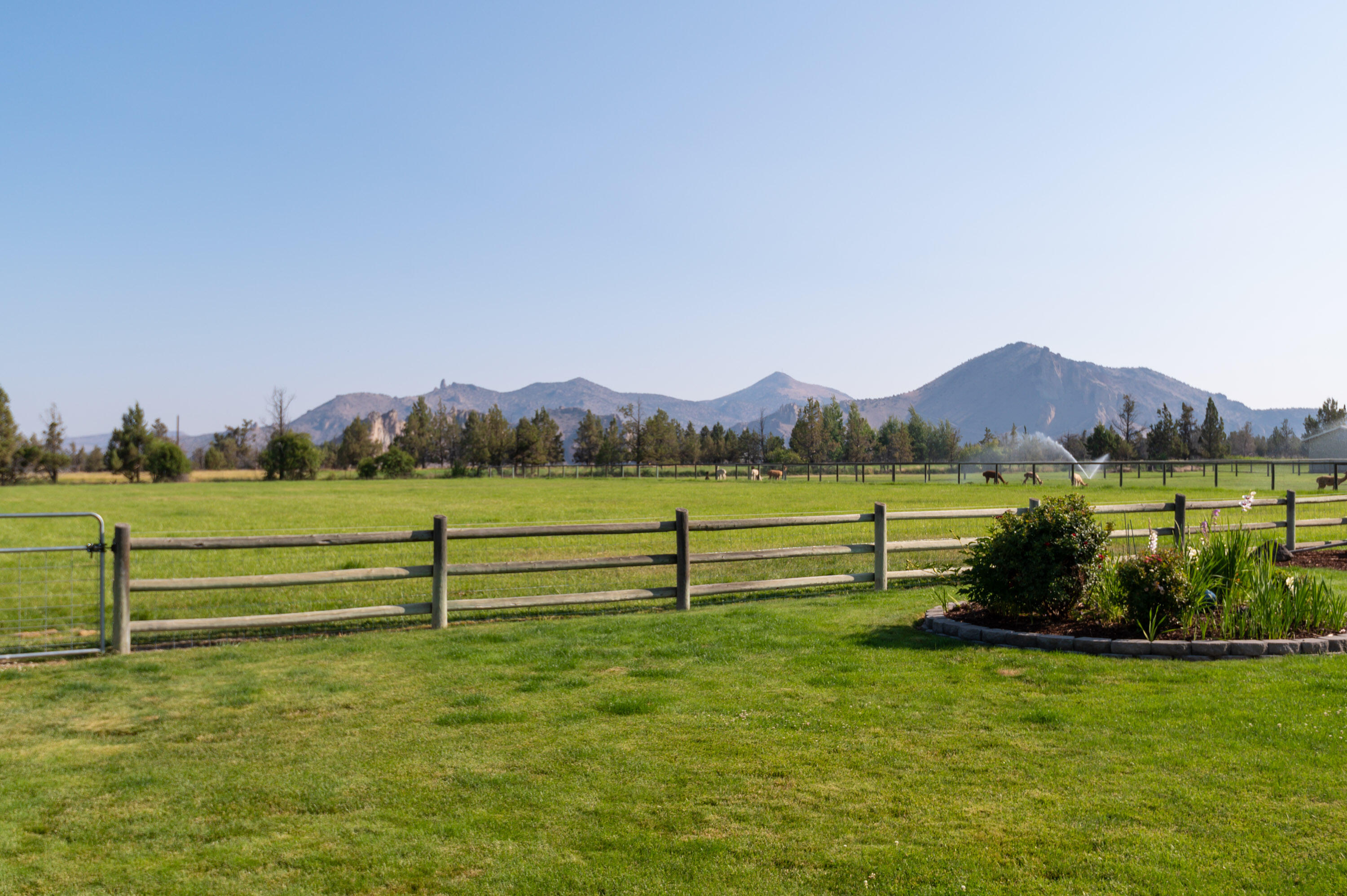 Equestrian Meadows - Residential