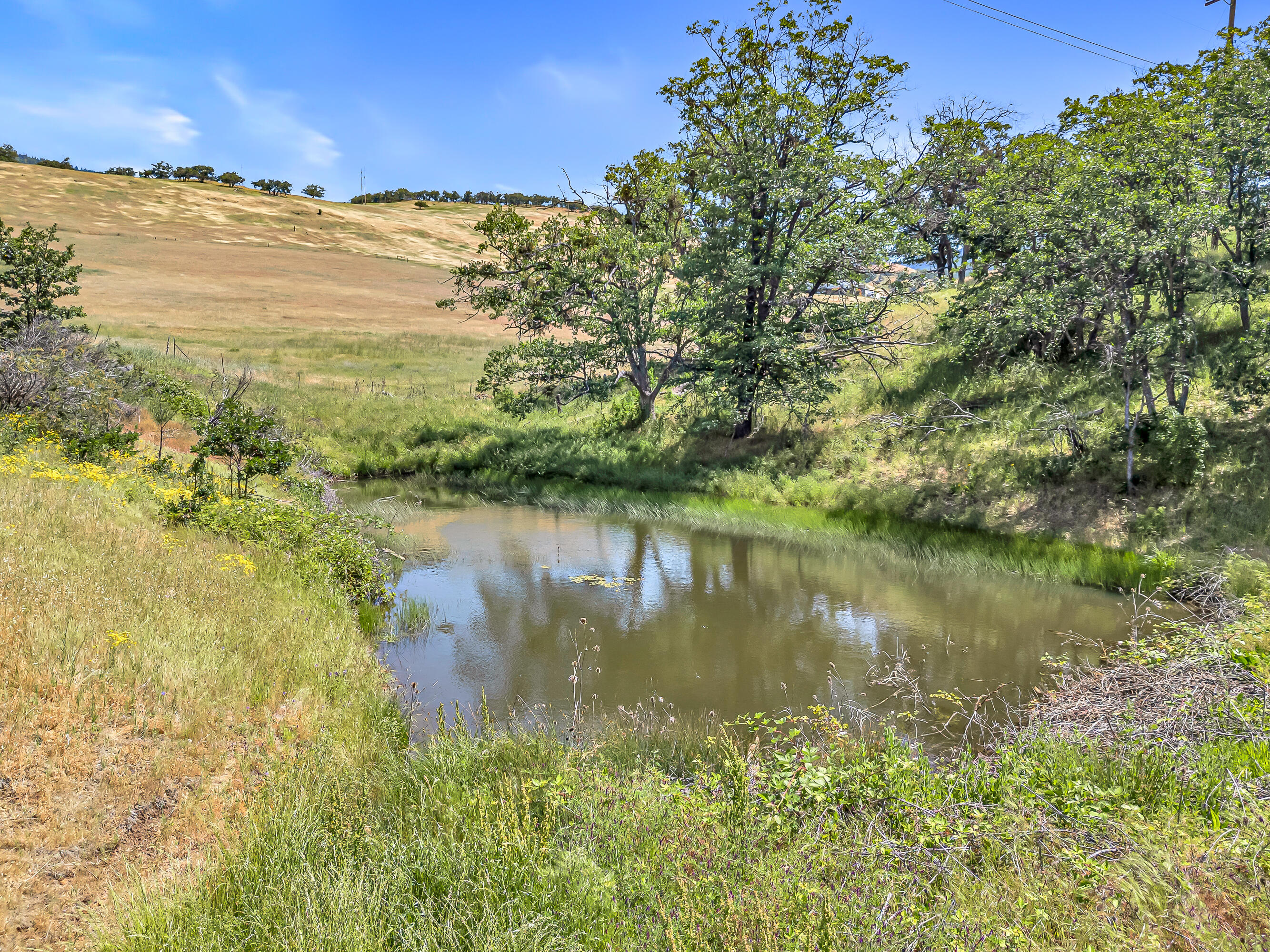 Annapolis Drive Estates - Land