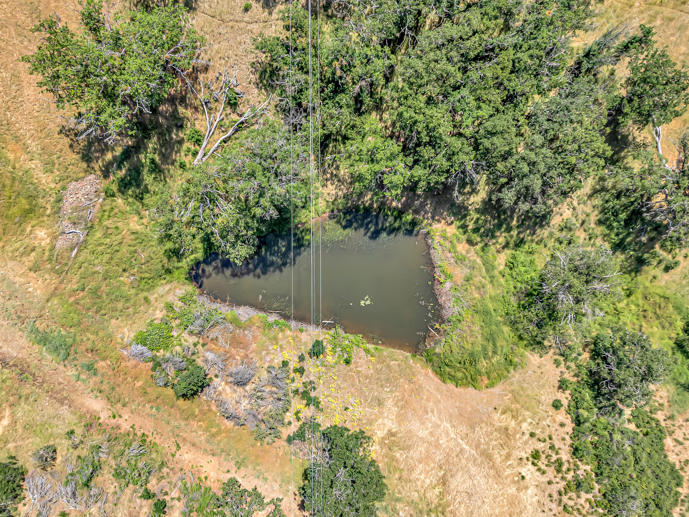 Annapolis Drive Estates - Land