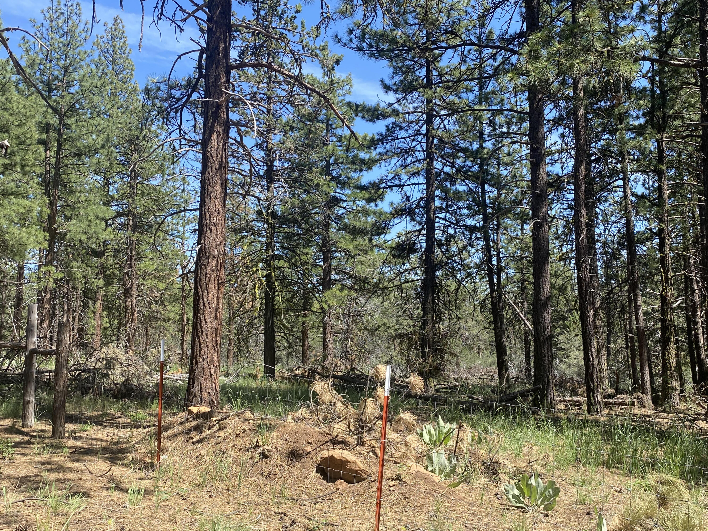 Klamath Falls Forest Estates -Hwy 66 Unit -Plat No. 1 - Residential