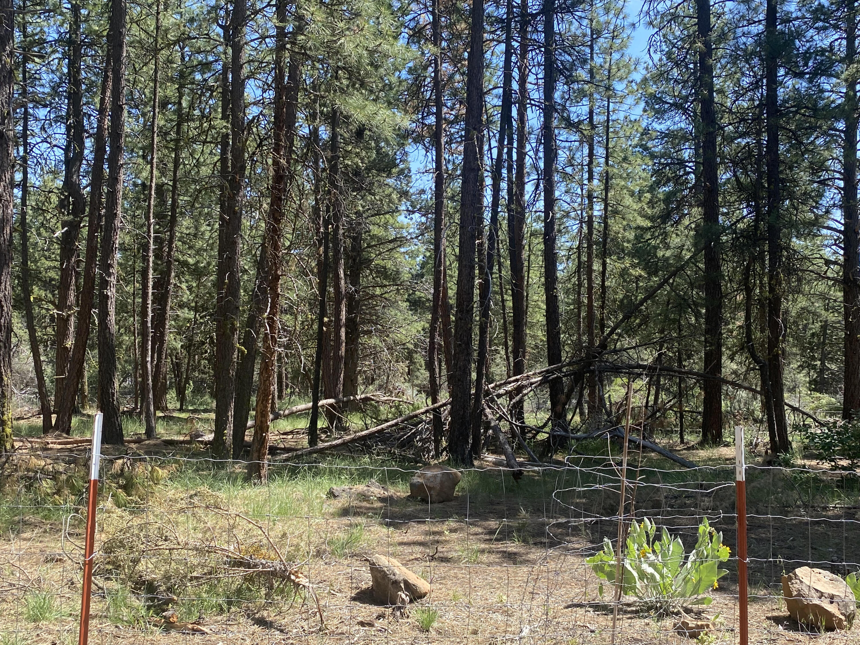 Klamath Falls Forest Estates -Hwy 66 Unit -Plat No. 1 - Residential