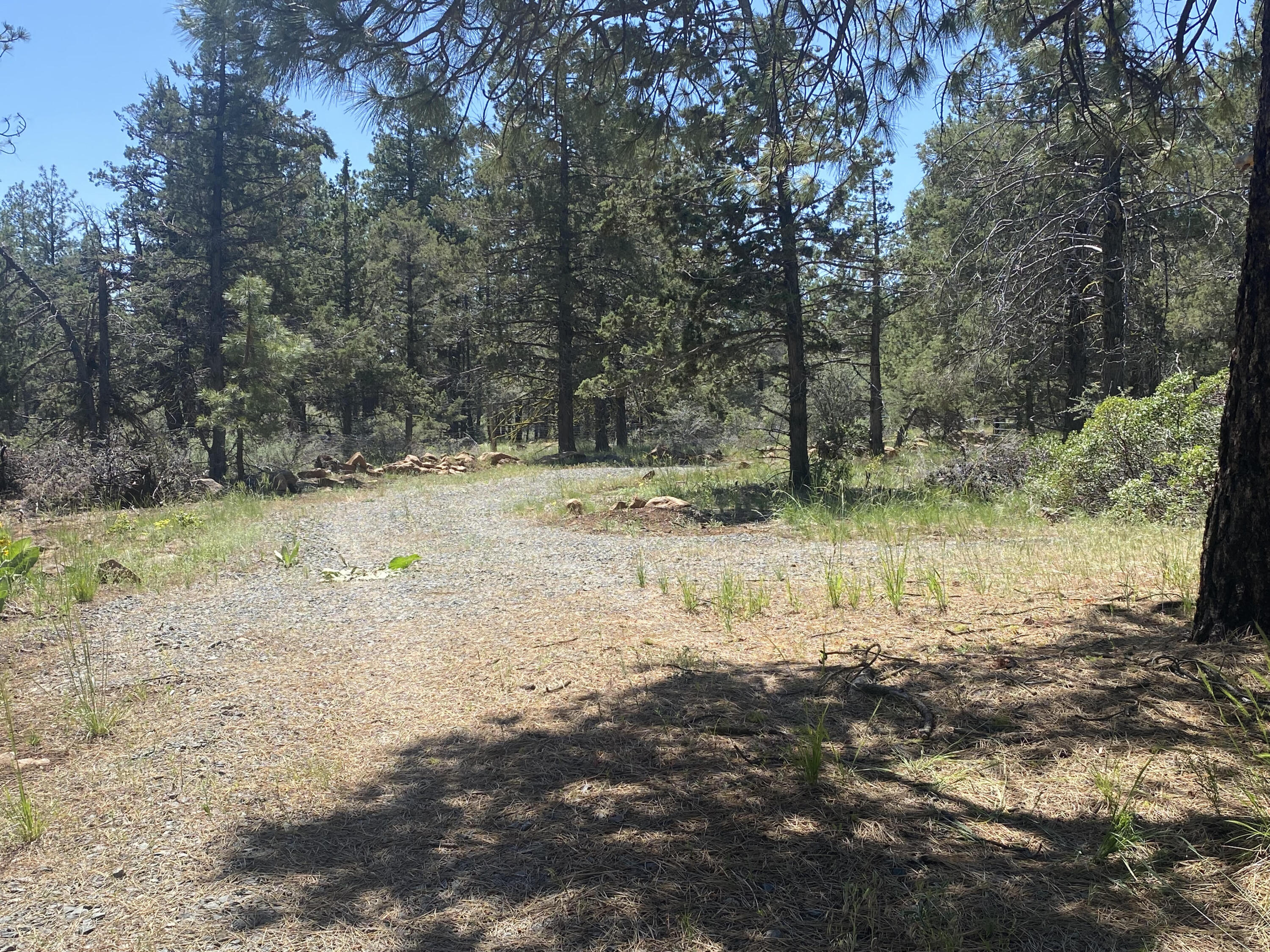 Klamath Falls Forest Estates -Hwy 66 Unit -Plat No. 1 - Residential