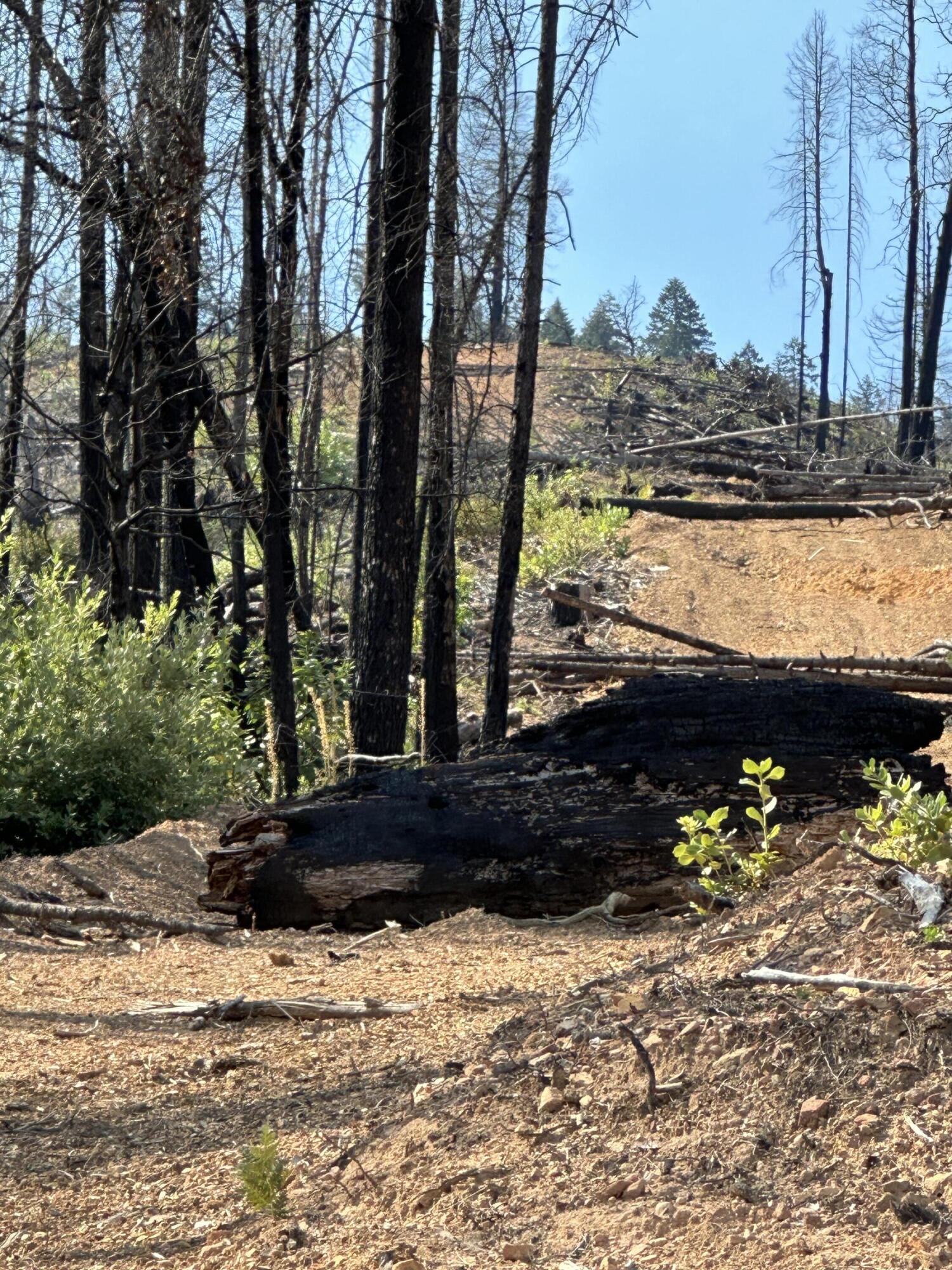 0 Graves Creek Road
