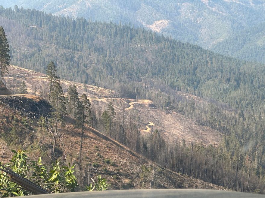 160 acres of recreational/hunting land. Plenty of wildlife and year round creek. Previously owned by a logging company and timber has been harvested. Buyer to do their own due diligence as to the uses of the property.