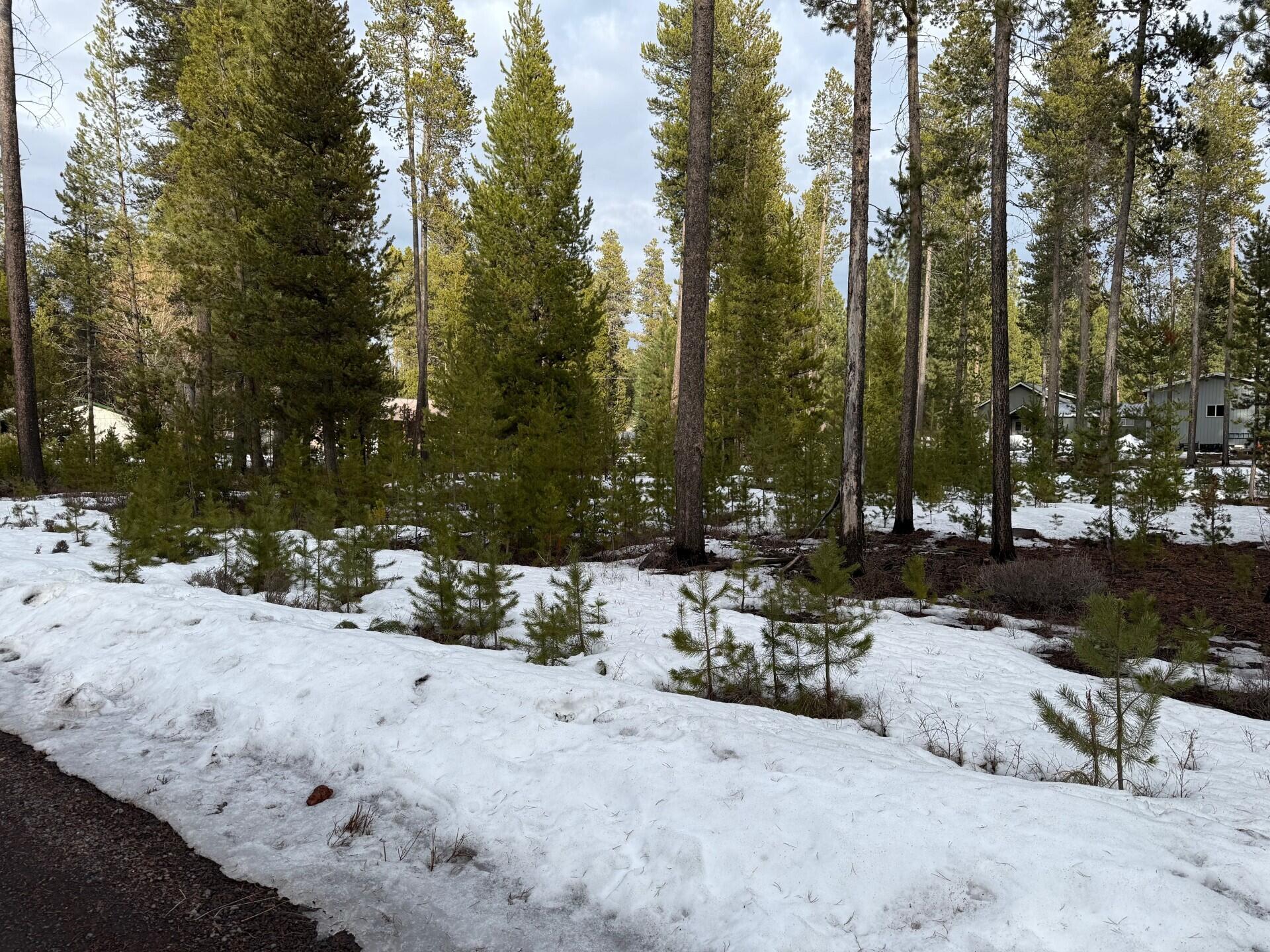 Deschutes River Recreation Homesites - Land