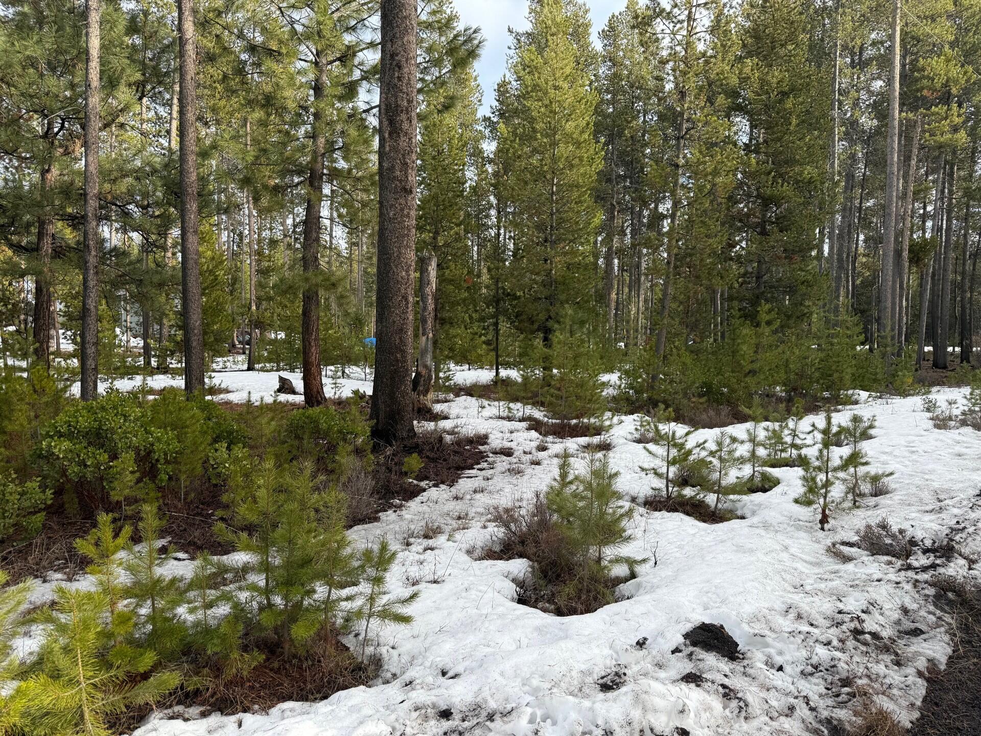 Deschutes River Recreation Homesites - Land