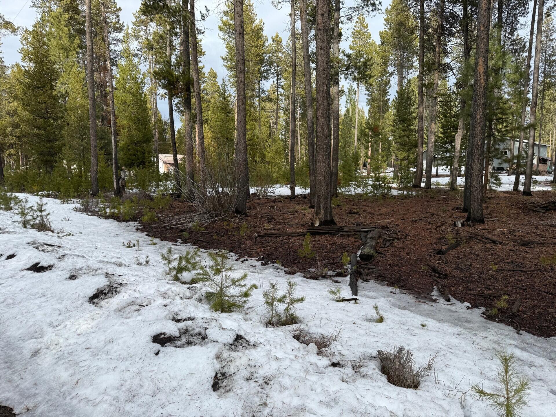 Deschutes River Recreation Homesites - Land