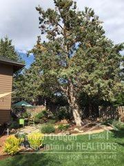 Silver Sage - Residential