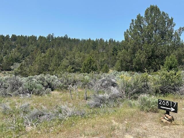 Lassen Street